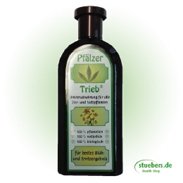Pf&auml;lzer-Trieb
